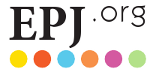 The European Physical Journal